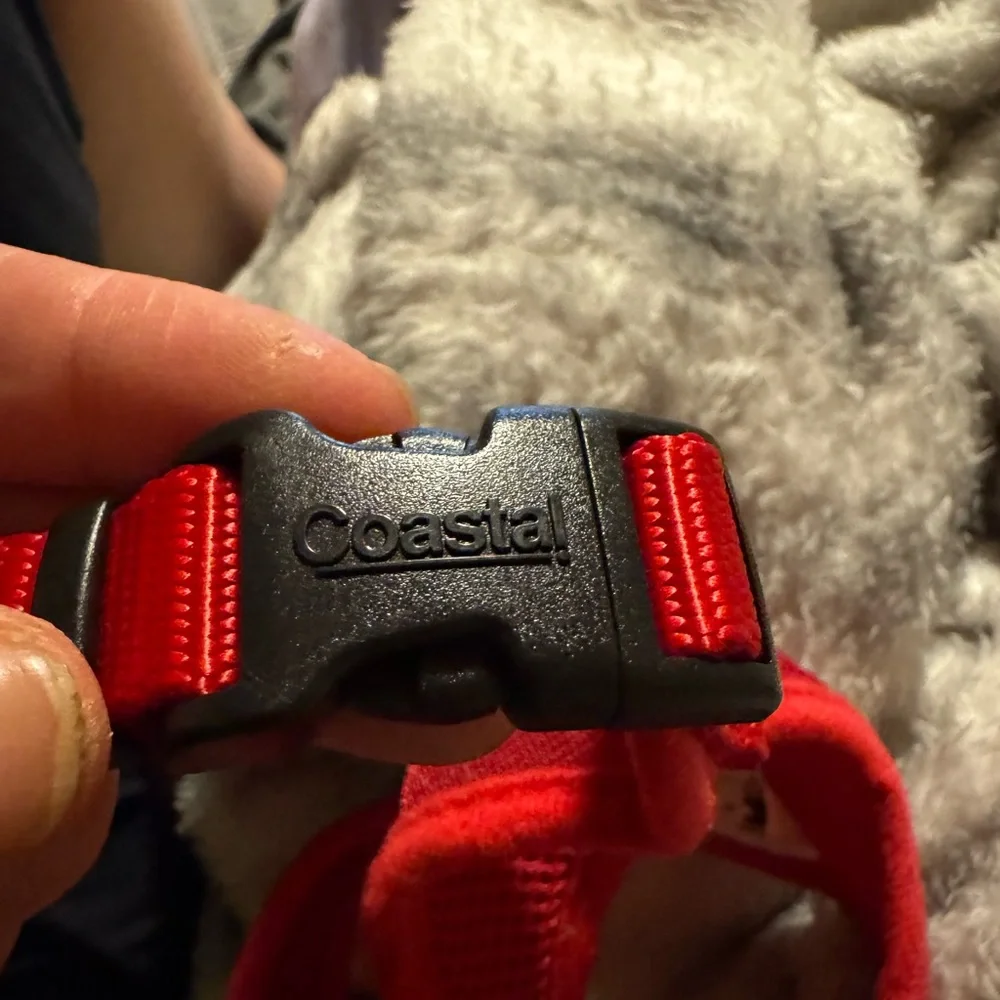 Red Mesh Dog Harness